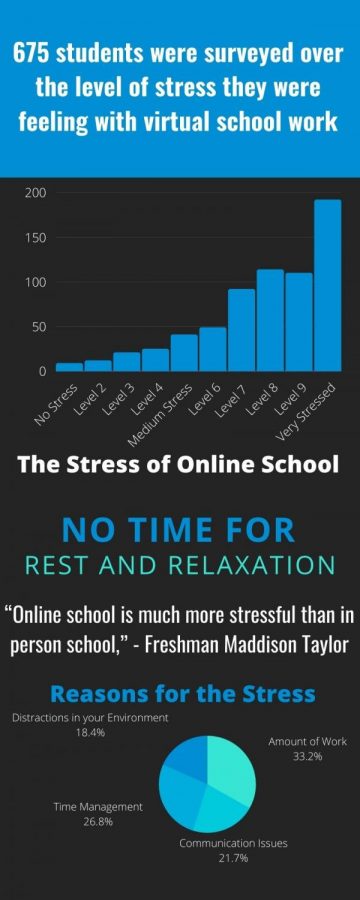 The Stress of Virtual Learning