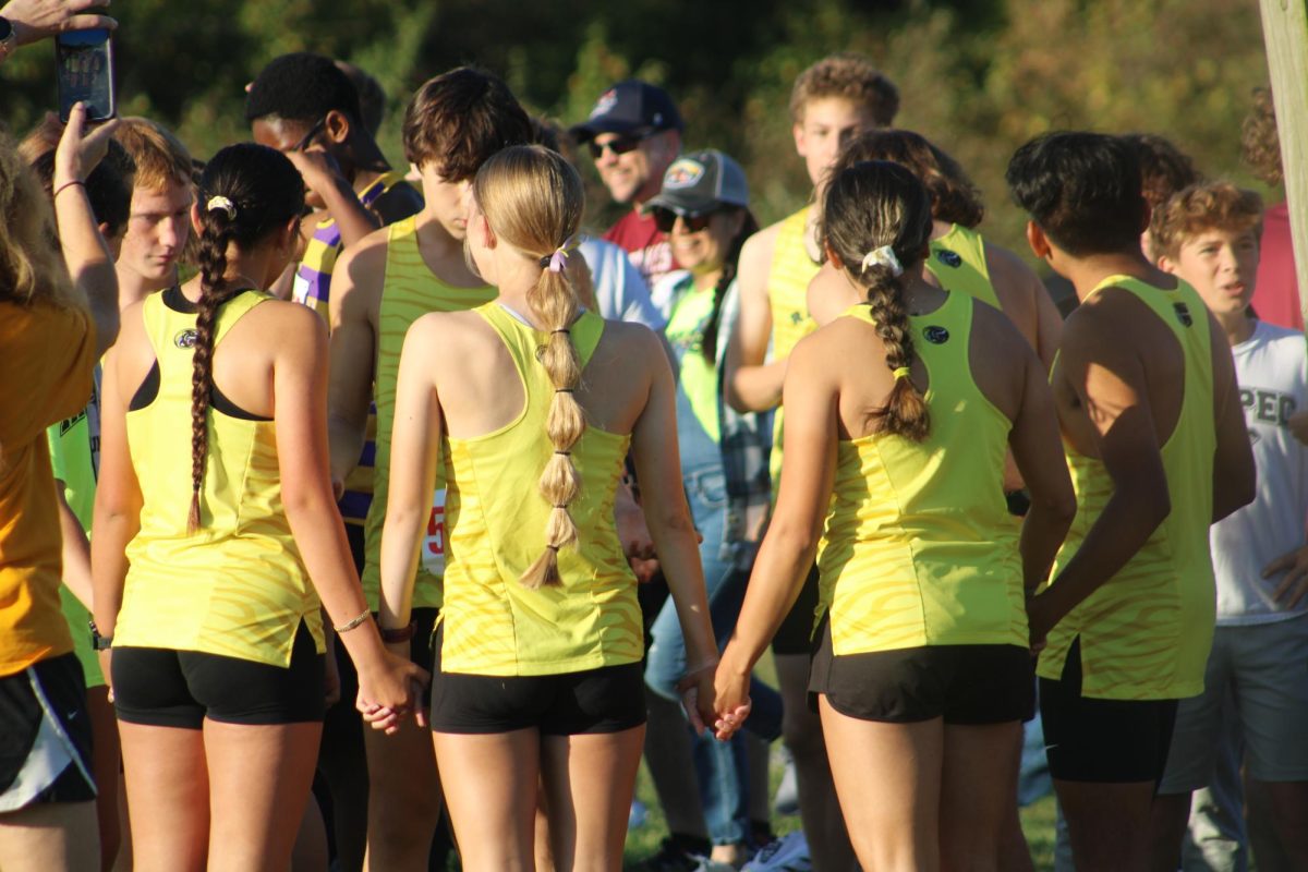 Women's Cross Country